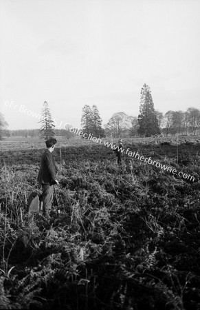 MARKING OUT LINES FOR PLANTING NEAR WELLINGTONIA AVENUE